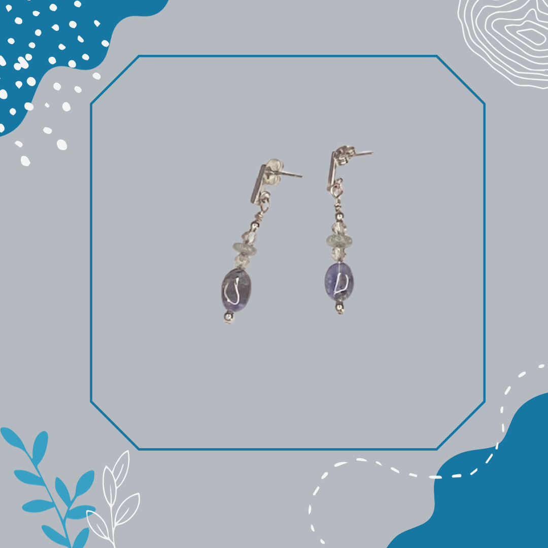 Silver Blue Stone Earrings