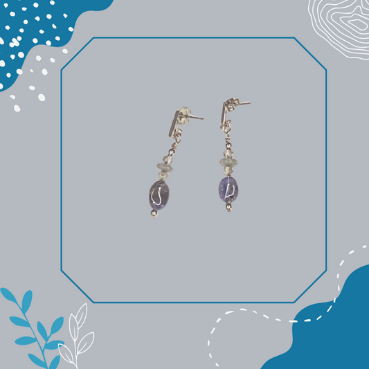 Silver Blue Stone Earrings